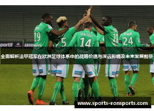 全面解析法甲冠军在欧洲足球体系中的战略价值与深远影响及未来发展前景